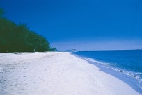 pala beach2